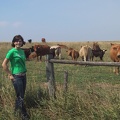 Erynn Cow Herd1